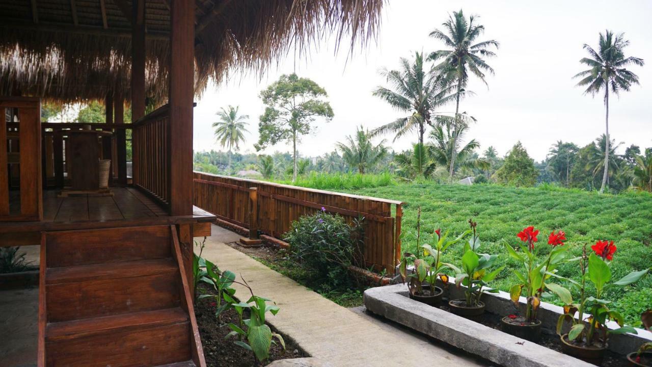 Vanilla Garden 特特巴图 外观 照片